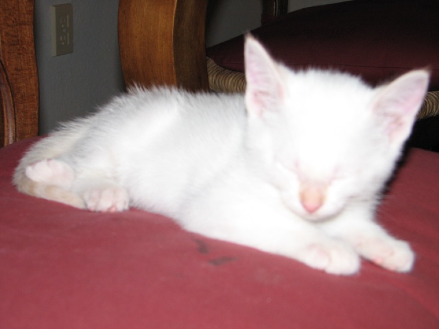 20100206 450.JPG